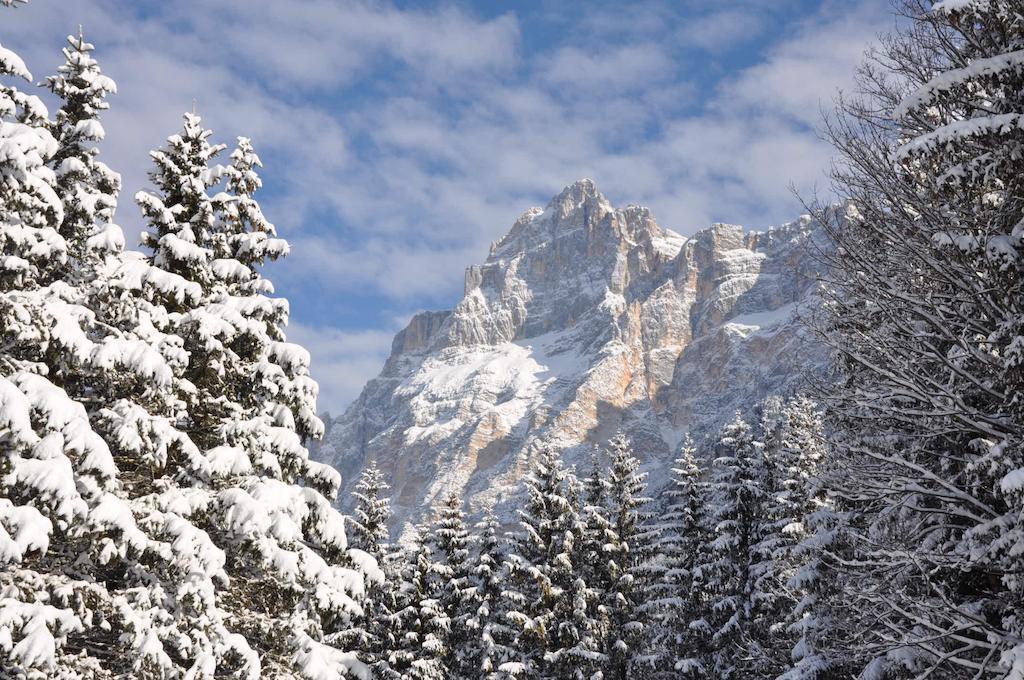 Hotel Roma San Vito di Cadore Buitenkant foto