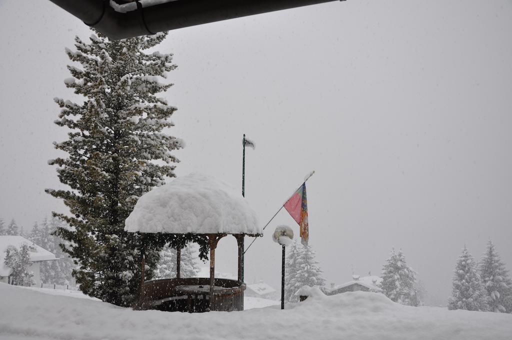 Hotel Roma San Vito di Cadore Buitenkant foto